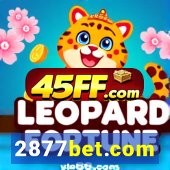 2877bet.com