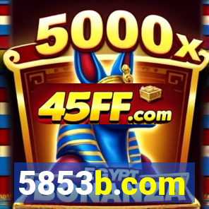 5853b.com
