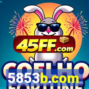 5853b.com