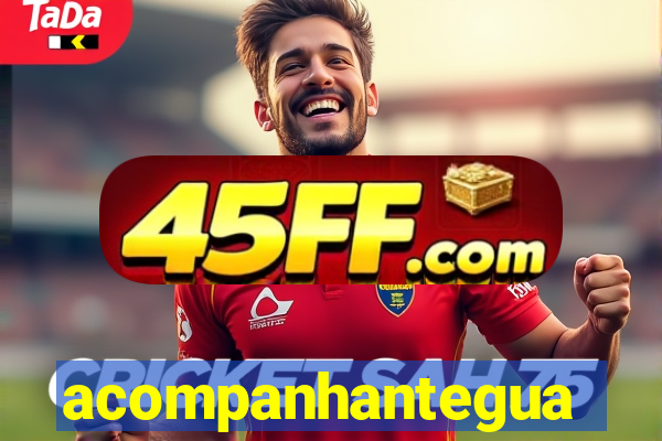 acompanhanteguanambi