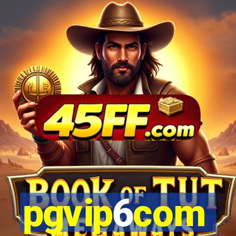 pgvip6com