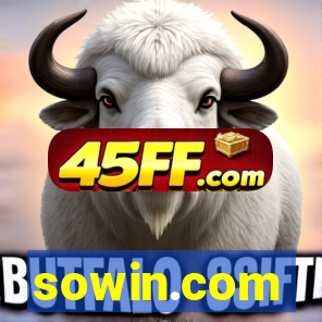 sowin.com