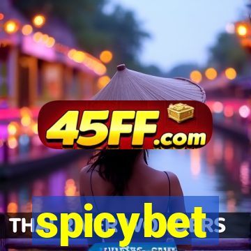 spicybet-4.com