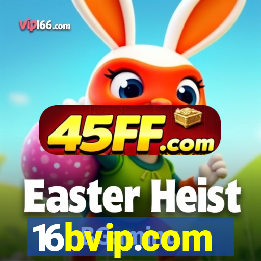 16bvip.com
