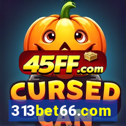 313bet66.com