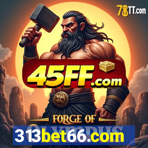 313bet66.com