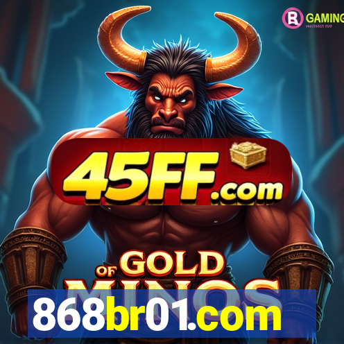 868br01.com