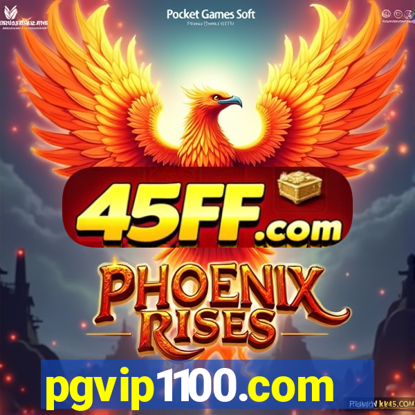 pgvip1100.com