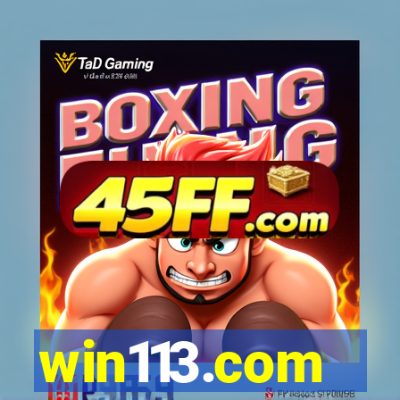 win113.com